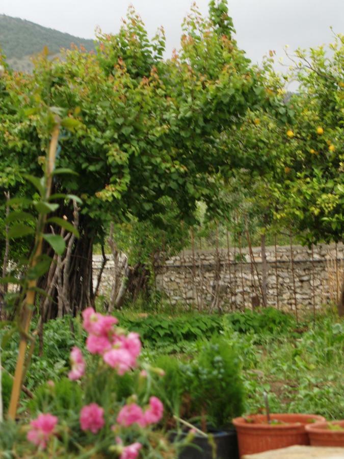 La Casa Di Nonna Leilighet Qeparo Eksteriør bilde
